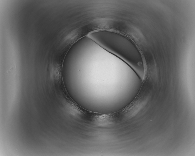 X0000112150092200908141223