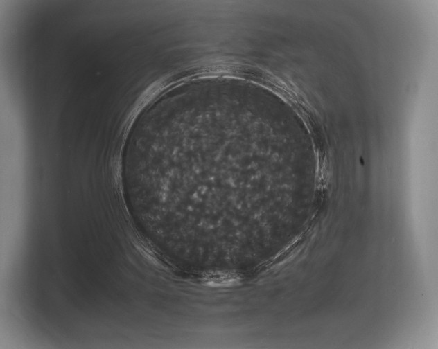X0000112150099200908141222