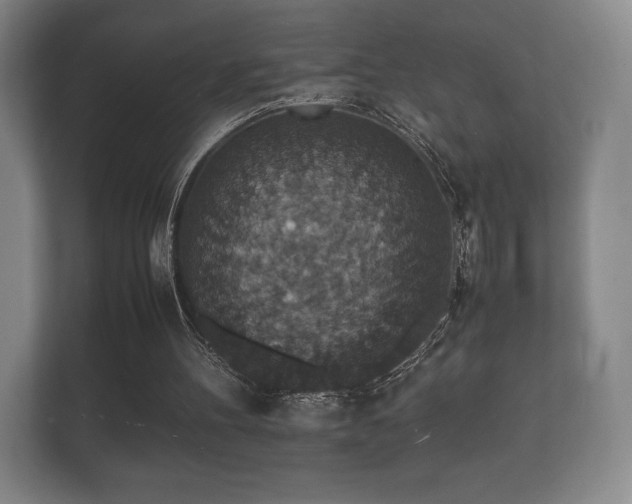 X0000112150100200908141222