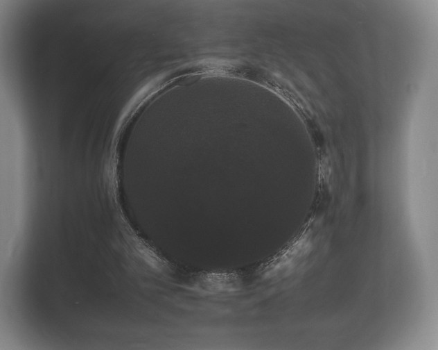 X0000112150101200908141222