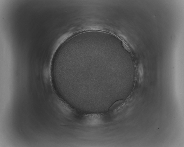 X0000112150104200908141222