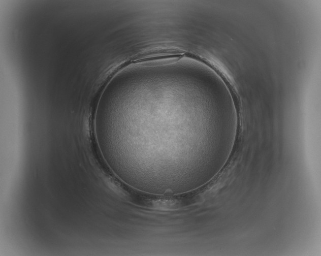 X0000112150105200908141222