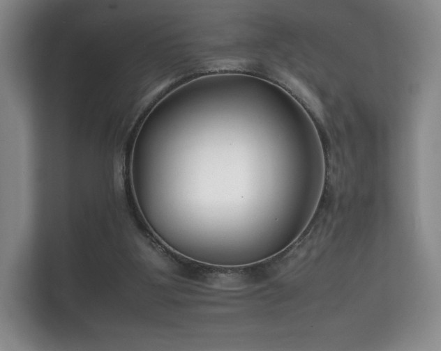 X0000112150107200908141222