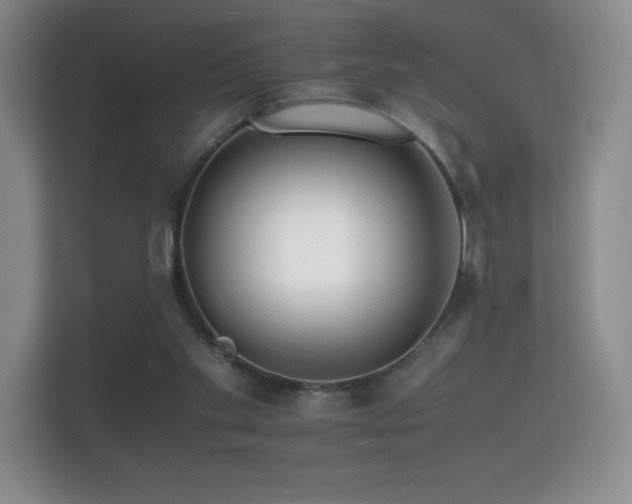 X0000112150109200908141222