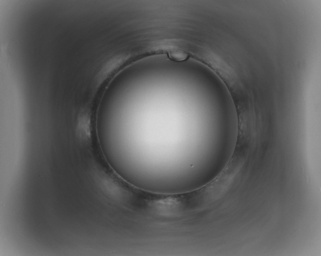 X0000112150112200908141222