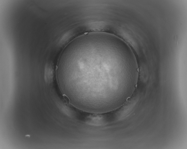 X0000112150113200908141222