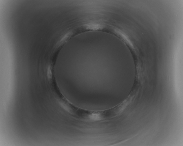 X0000112150114200908141222