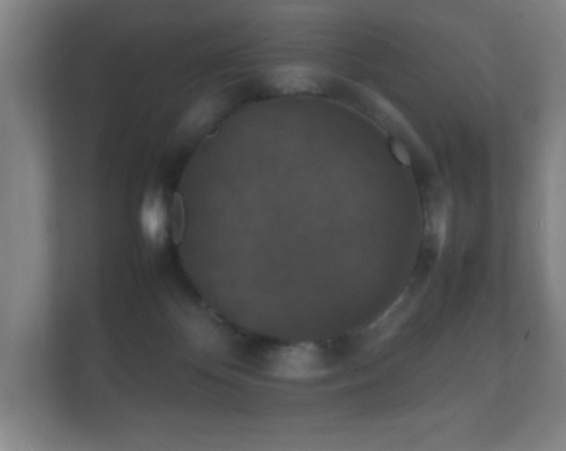 X0000112150124200908141222