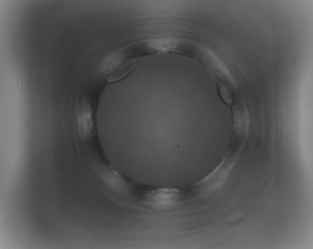 X0000112150128200908141222