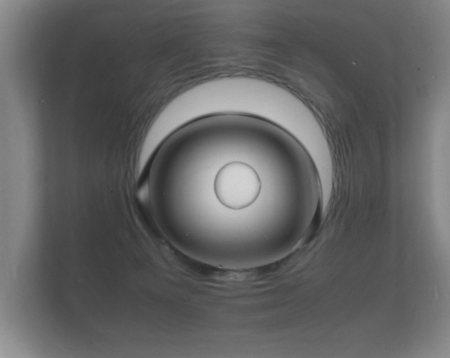 X0000112150129200908141222