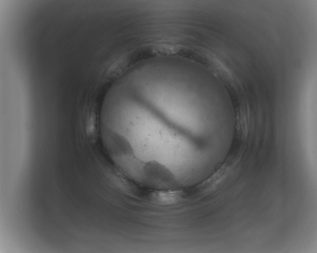 X0000112150134200908141222