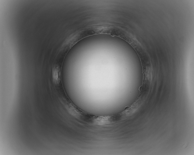 X0000112150138200908141222