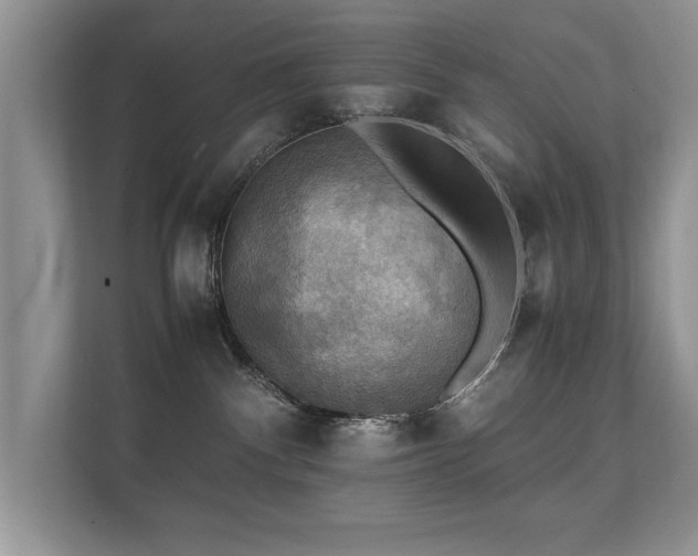 X0000112150140200908141222