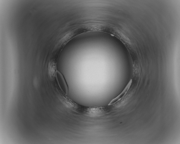 X0000112150141200908141222