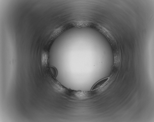 X0000112150142200908141222