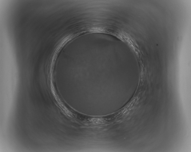 X0000112150145200908141221