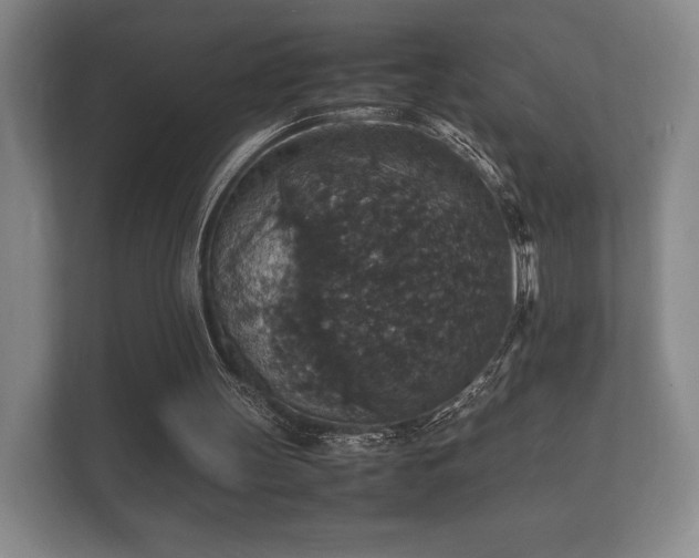 X0000112150147200908141221