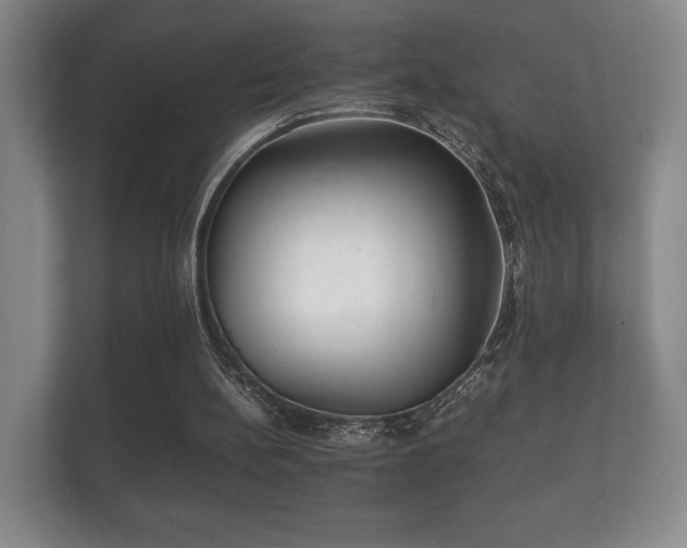 X0000112150148200908141221