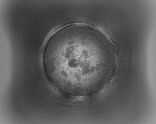 X0000112150151200908141221