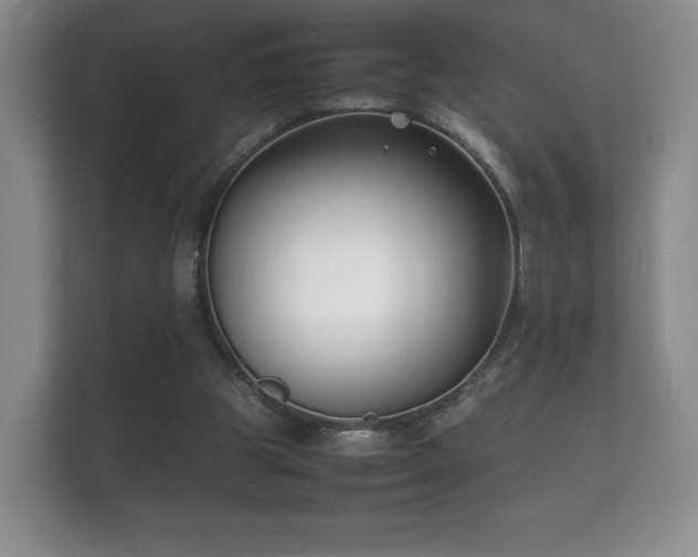X0000112150153200908141221