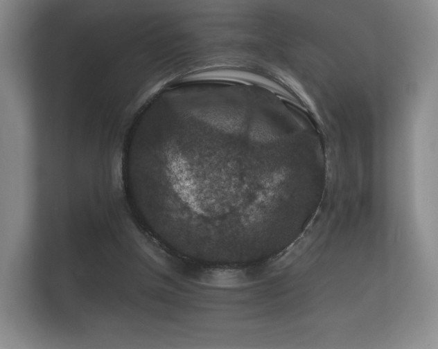 X0000112150154200908141221