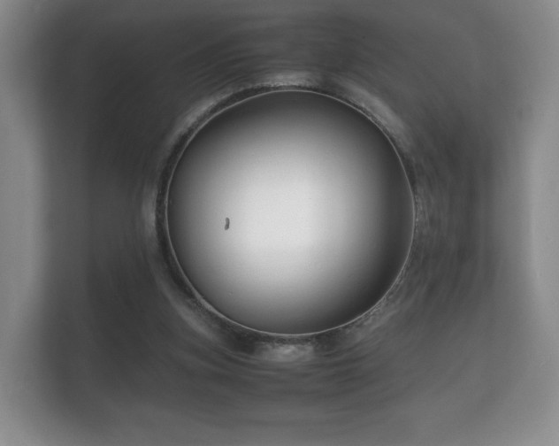 X0000112150155200908141221