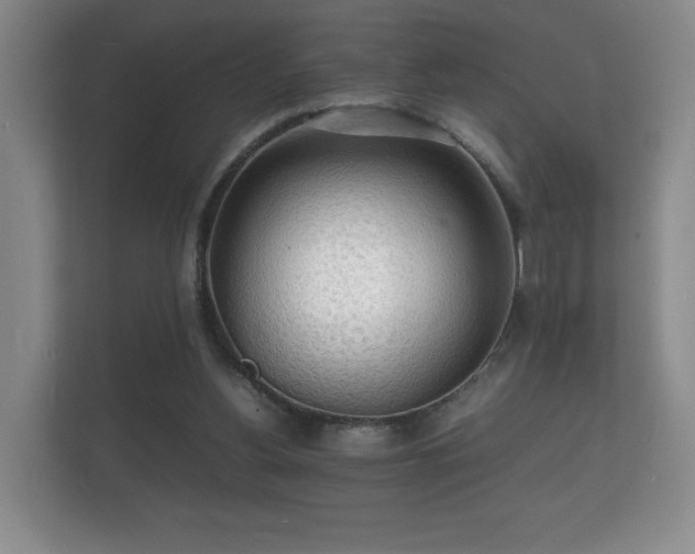 X0000112150156200908141221