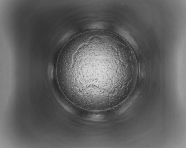 X0000112150157200908141221
