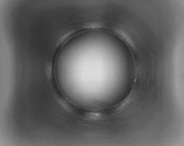 X0000112150159200908141221