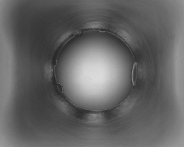 X0000112150160200908141221