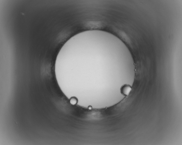 X0000112150162200908141221