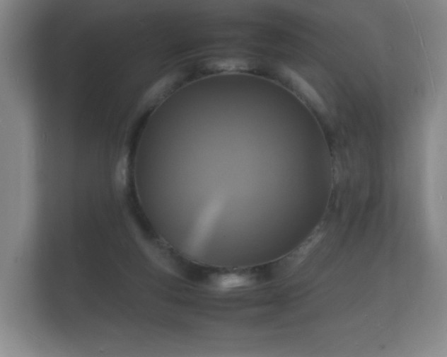 X0000112150163200908141221