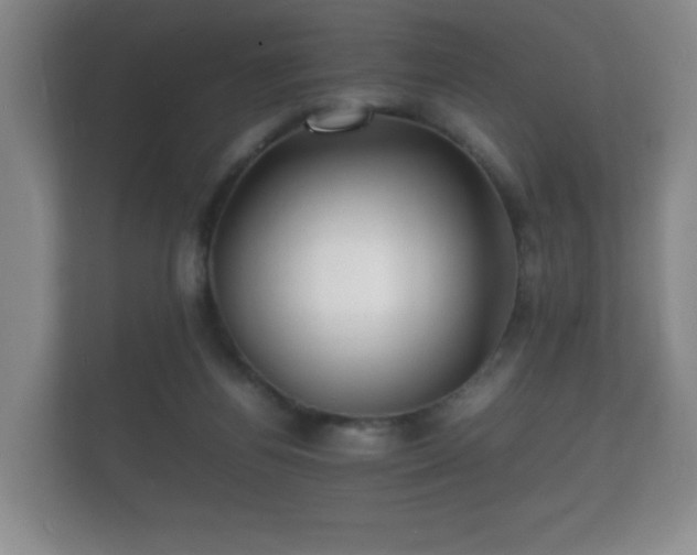 X0000112150164200908141221