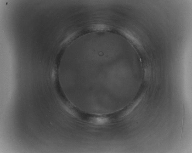 X0000112150165200908141221