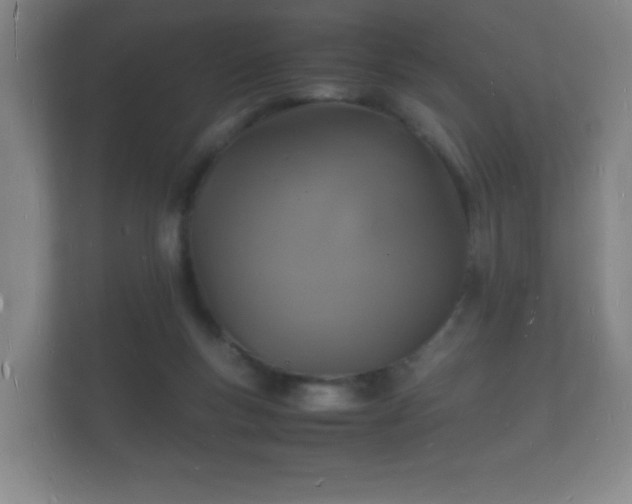 X0000112150167200908141221