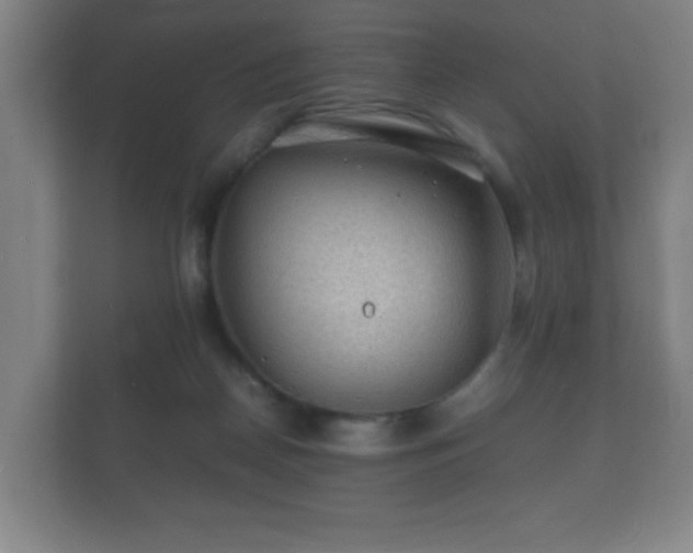 X0000112150170200908141221
