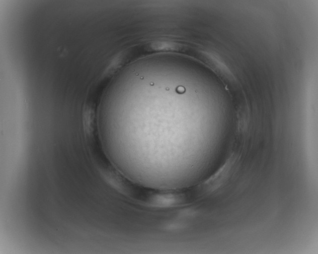 X0000112150171200908141222