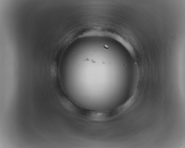 X0000112150174200908141222
