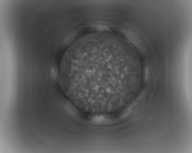 X0000112150177200908141222