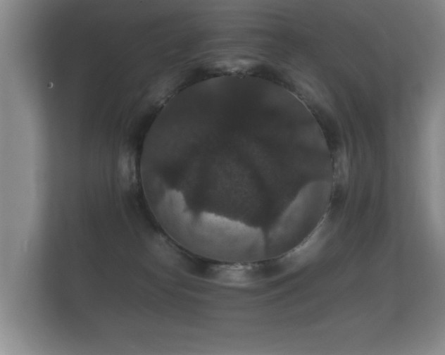 X0000112150182200908141222