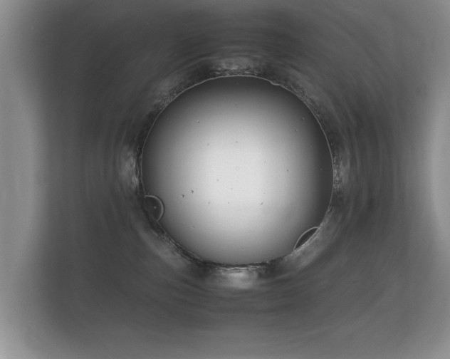 X0000112150187200908141222