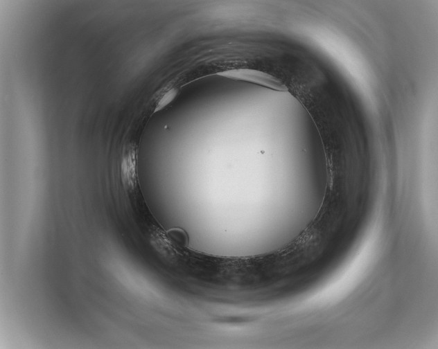 X0000112150190200908141222