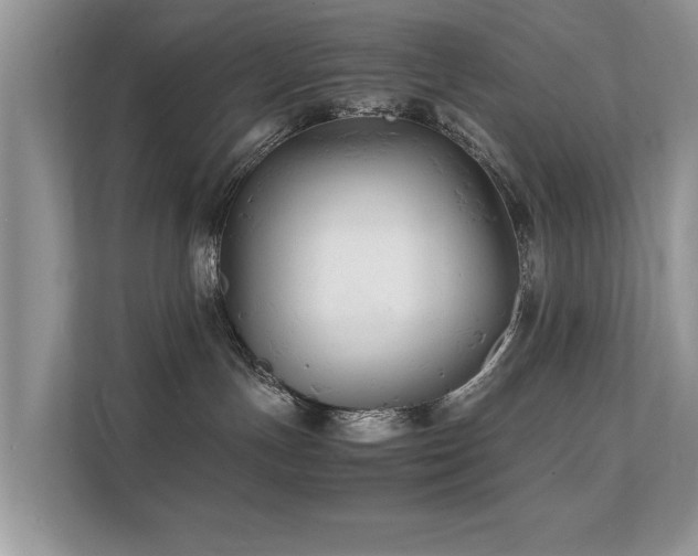 X0000112150191200908141222