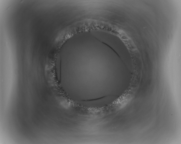 X0000112150192200908141222