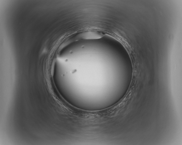 X0000112150193200908141221