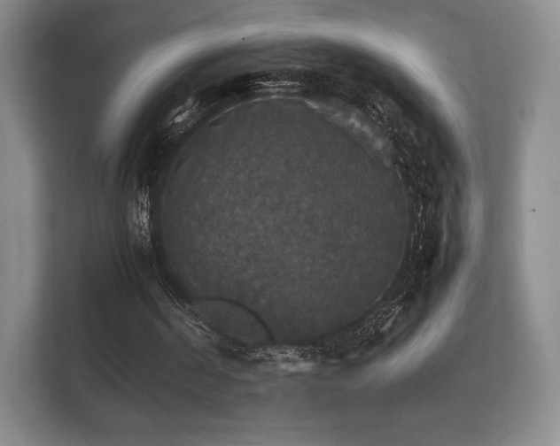 X0000112150194200908141221
