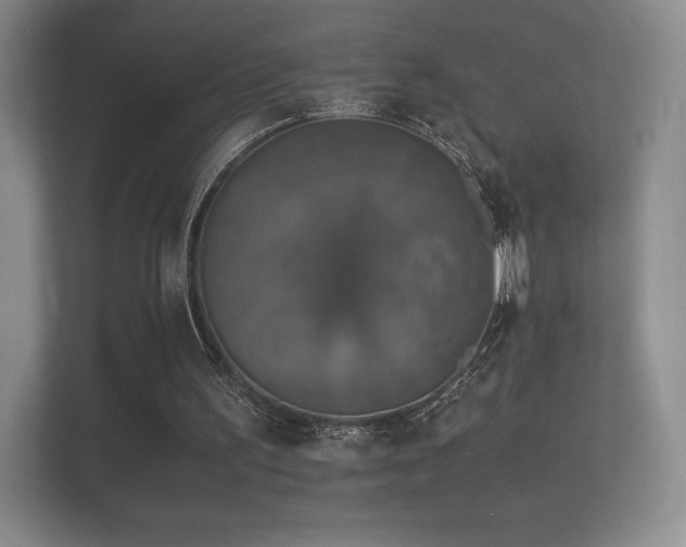 X0000112150195200908141221