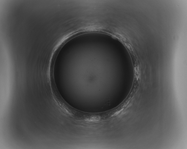 X0000112150196200908141221
