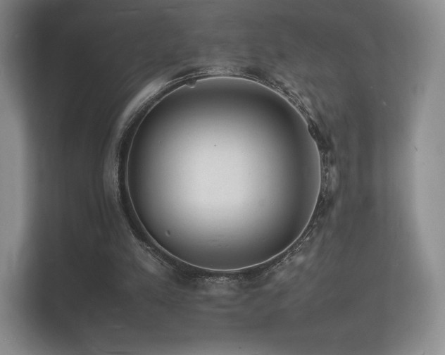 X0000112150197200908141221