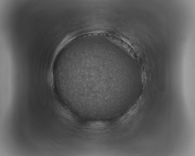 X0000112150198200908141221